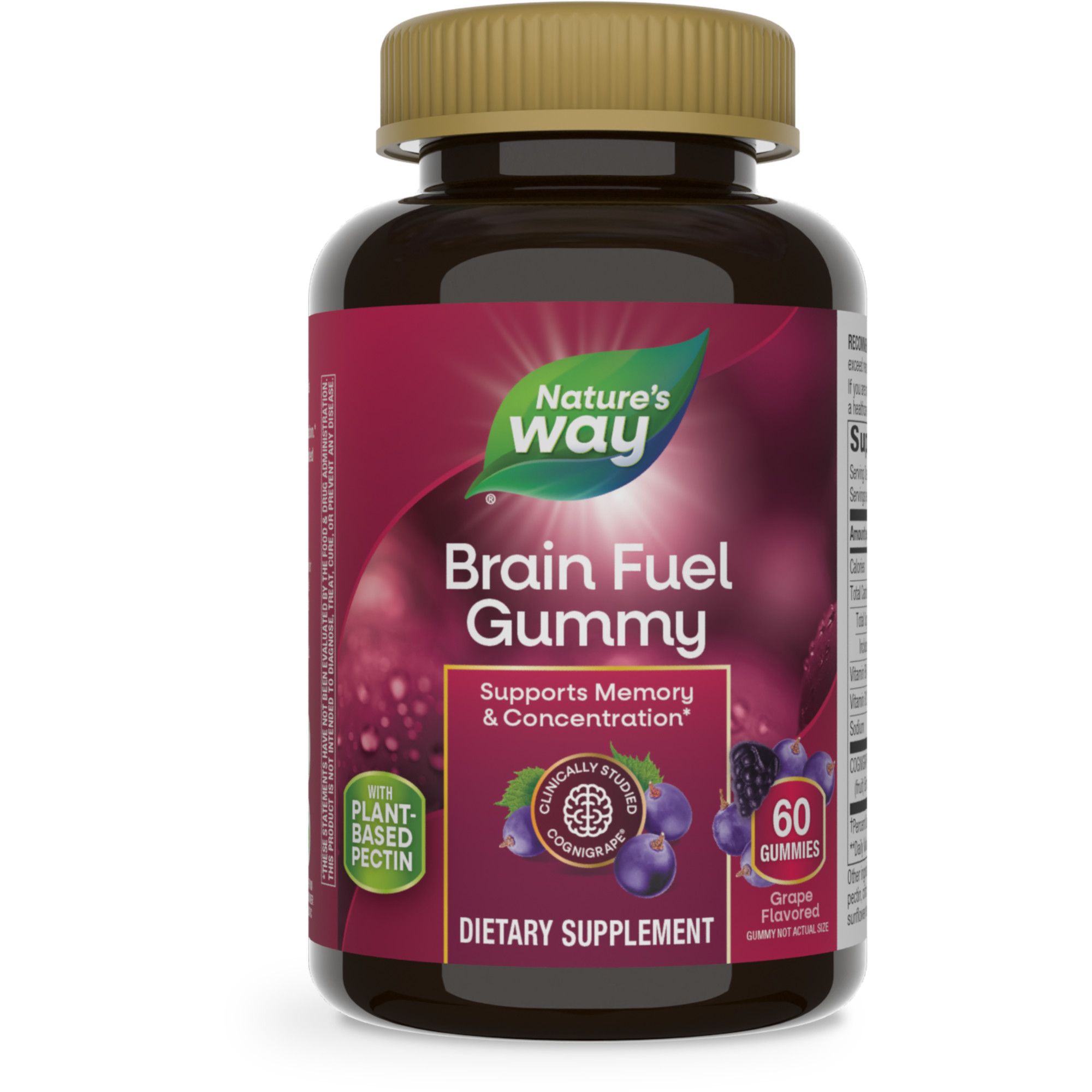 Brain Fuel